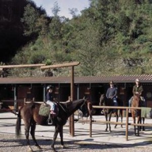 tgr_cavallo2[1] - Copia